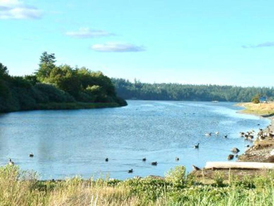維多利亞Esquimalt Lagoon Life公寓 外观 照片